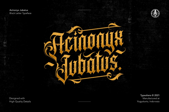 Acinonyx Jubatus: A Bold Blackletter for Modern Designs